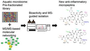 New Micropeptins with Anti-Neuroinflammatory Activity Isolated from a Cyanobacterial Bloom